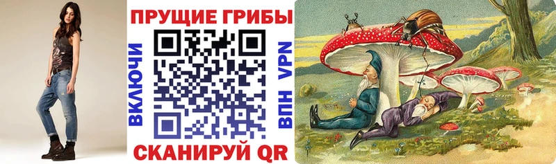 купить закладку  Домодедово  Галлюциногенные грибы GOLDEN TEACHER 