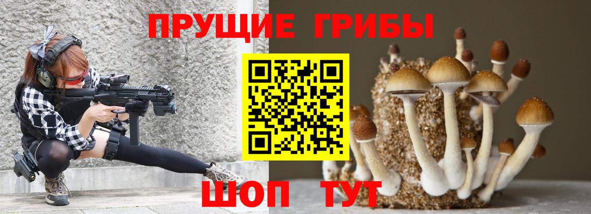 Домодедово  Галлюциногенные грибы GOLDEN TEACHER  Вход с VPN 
