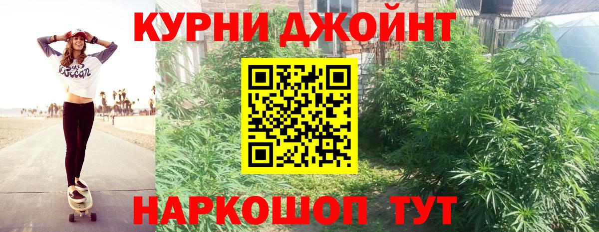 Каннабис индика Домодедово